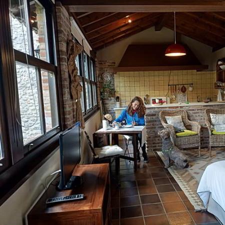 Image Where to sleep with your pet