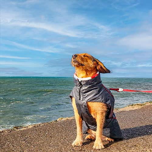 Image Practical Info