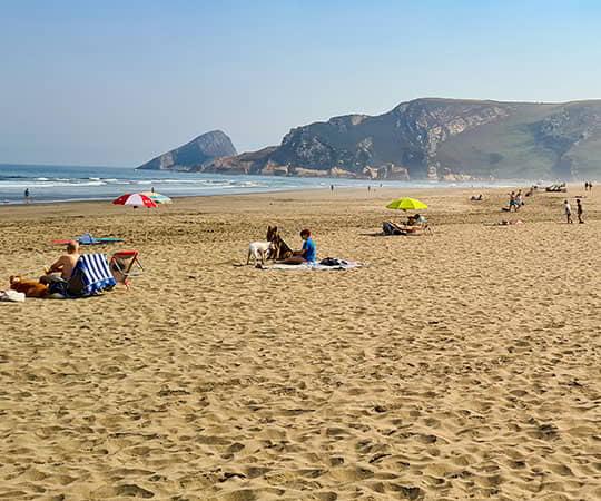 Perros tumbados al lado de sus dueños en la playa.