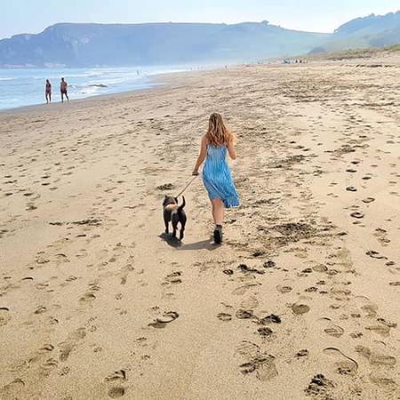 Image Enjoy the beach with your pet