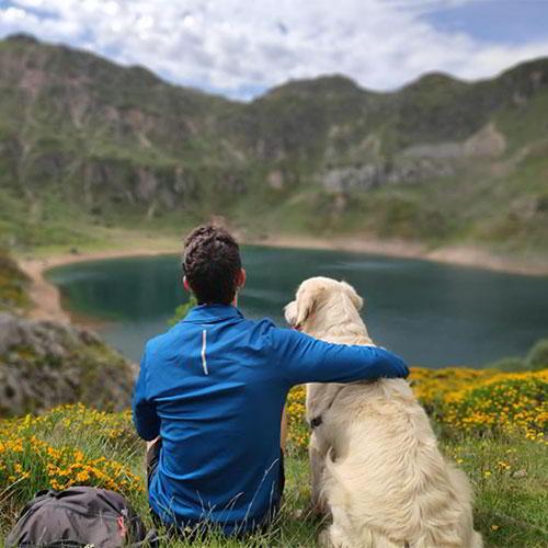 Image Tourist offices