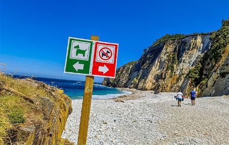 Beach of Quintana / Plumineru