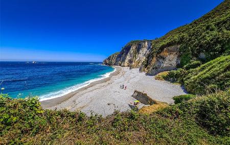 Beach of Quintana / Plumineru