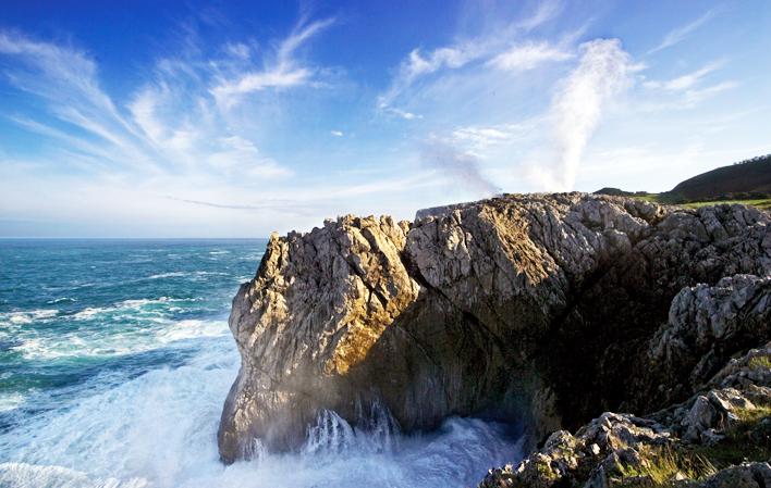 Jester of Santiuste Jester of Santiuste