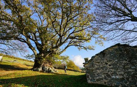 Carbayón de Valentín