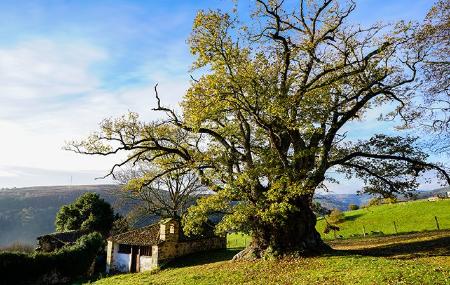 Image Carbayón de Valentín