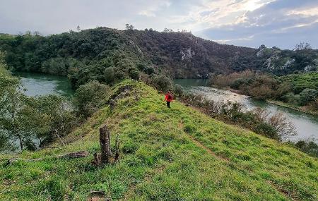 Meanders of the Nora