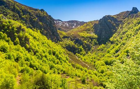 Imagen Tabayon de Mongayo