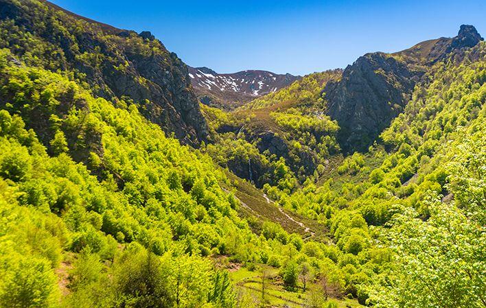 Tabayon de Mongayo Tabayon de Mongayo