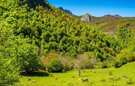 Tabayón del Mongallu