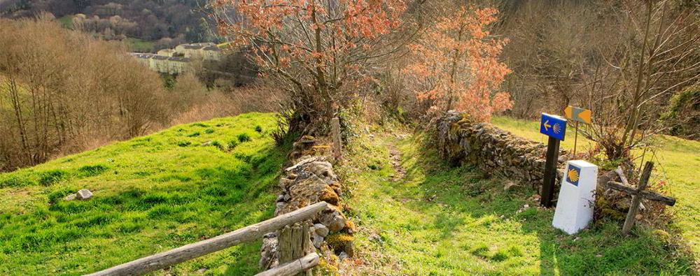 Image of the Camino de Santiago Primitivo at Ferroy in Pola de Allande in the background.