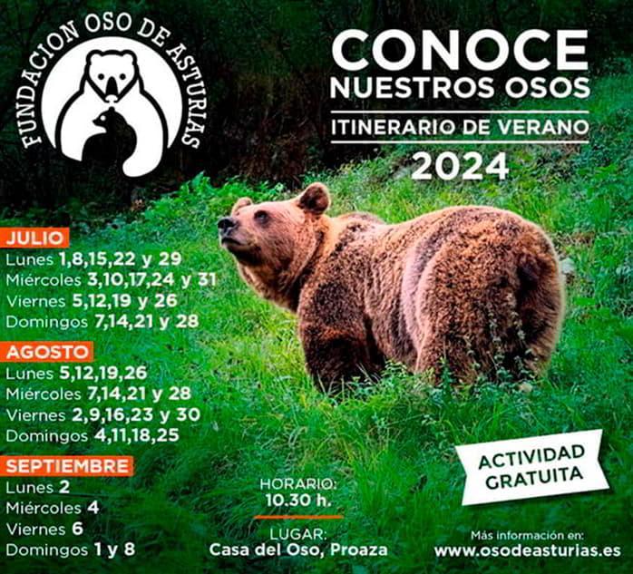 Imagen del Programa Conoce nuestros osos