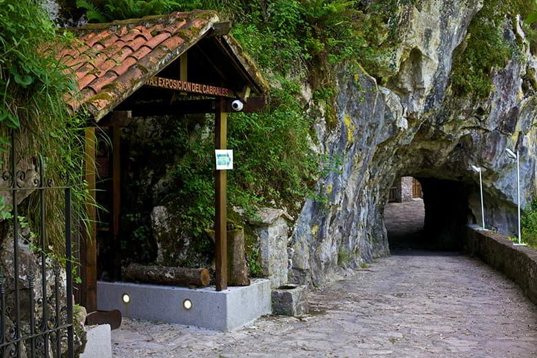 Image of the Cueva Exposición de la DOP Cabrales (Cabrales PDO)