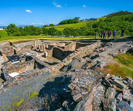 Image of El Chao Samartín Hillfort in the municipality of Grandas de Salime.