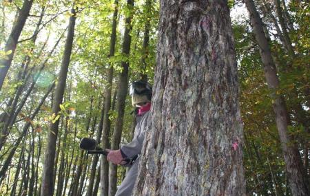 Imagen Astur Paintball