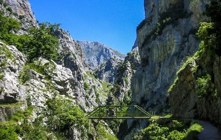 Imagen Grüne Umrandung