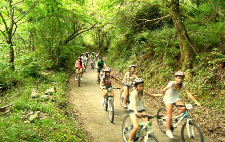 Imagen TeverAstur Bear Trail