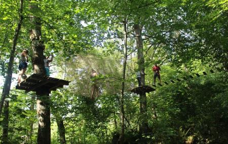 Imagen Asturian Jungle: Adventure in Llanes