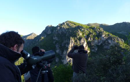 Imagen Birdwatch Asturias