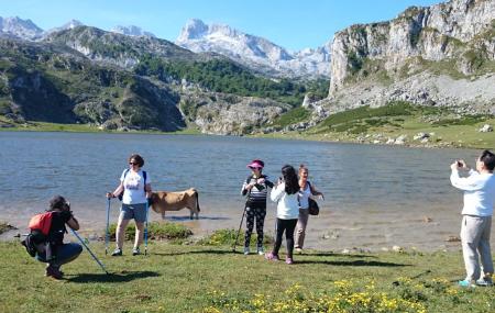 Imagen Naturaller - Las Caldas Go!