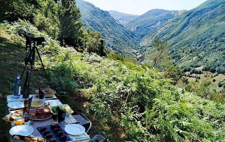 Imagen Active Forest