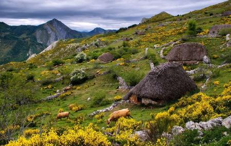 Imagen Somiedo Experience