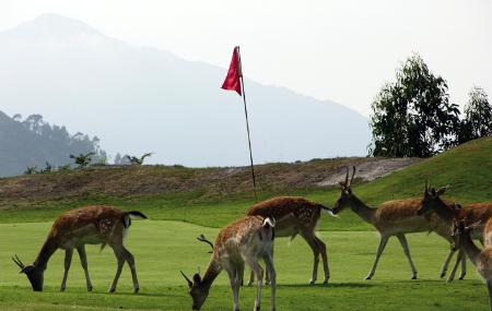 La Rasa de Berbes Golf Club