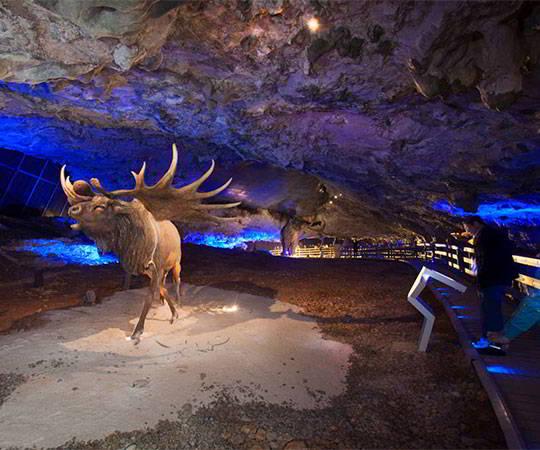 Image of the interior of the Cuevona de Avín with a representation of glacial fauna in the foreground. Council of Onís