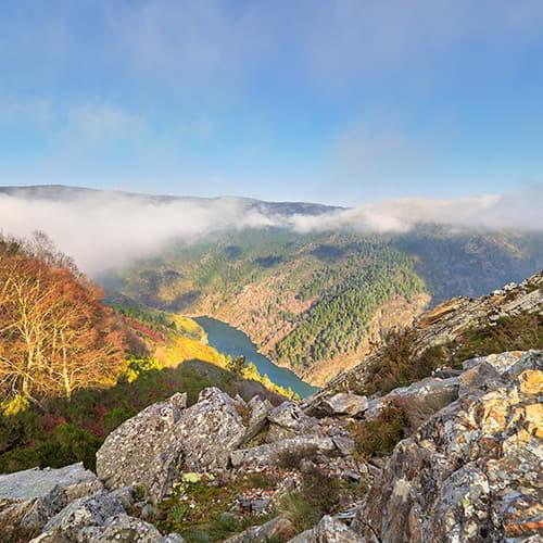 Image More natural areas