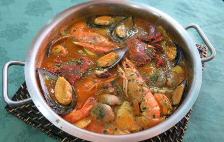 Imagen Yellowish Octopus