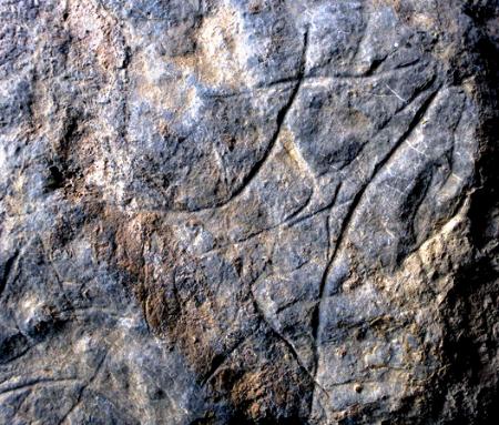 Imagen Santo Adriano Shelter