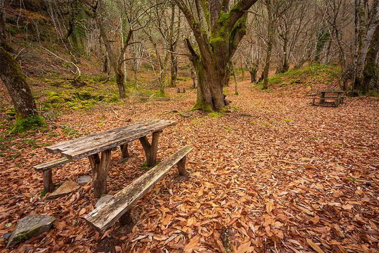 Image of the A Seimeira Route (Santa Eulalia de Oscos)