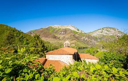 Collegiate Church of Santa María la Real de Tanes