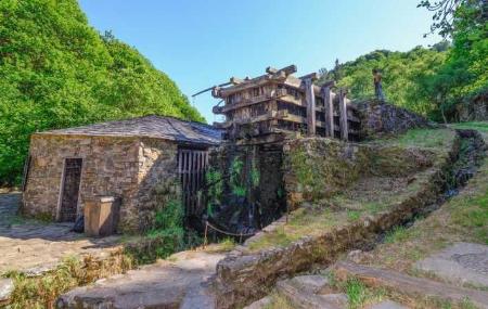 Image Mazonovo Ethnographic Ensemble