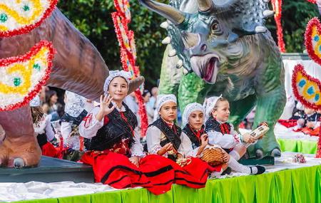 America Day in Asturias